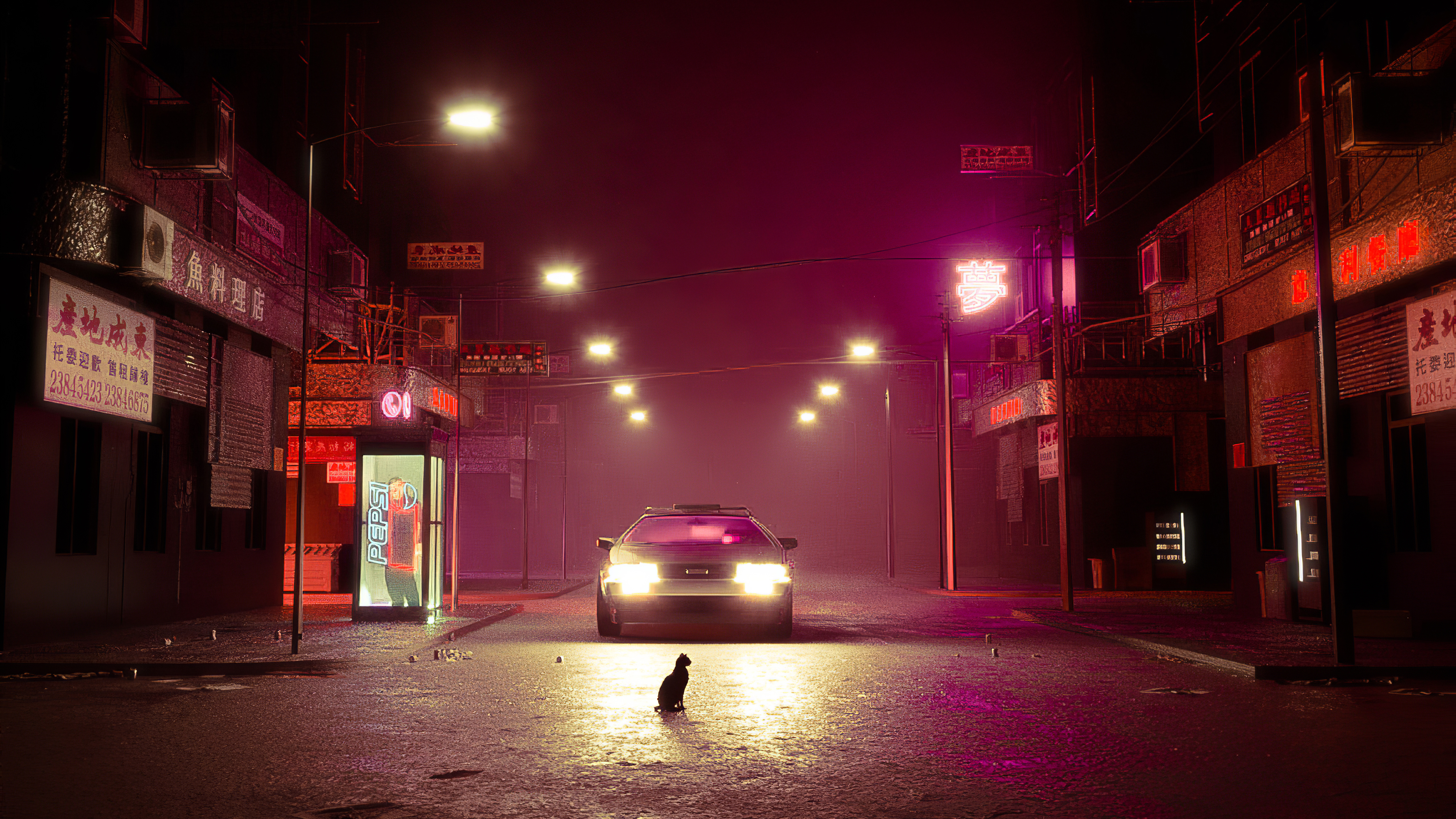 cat road delorean 1580055081