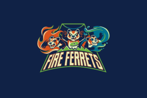 fire ferret 1580055092