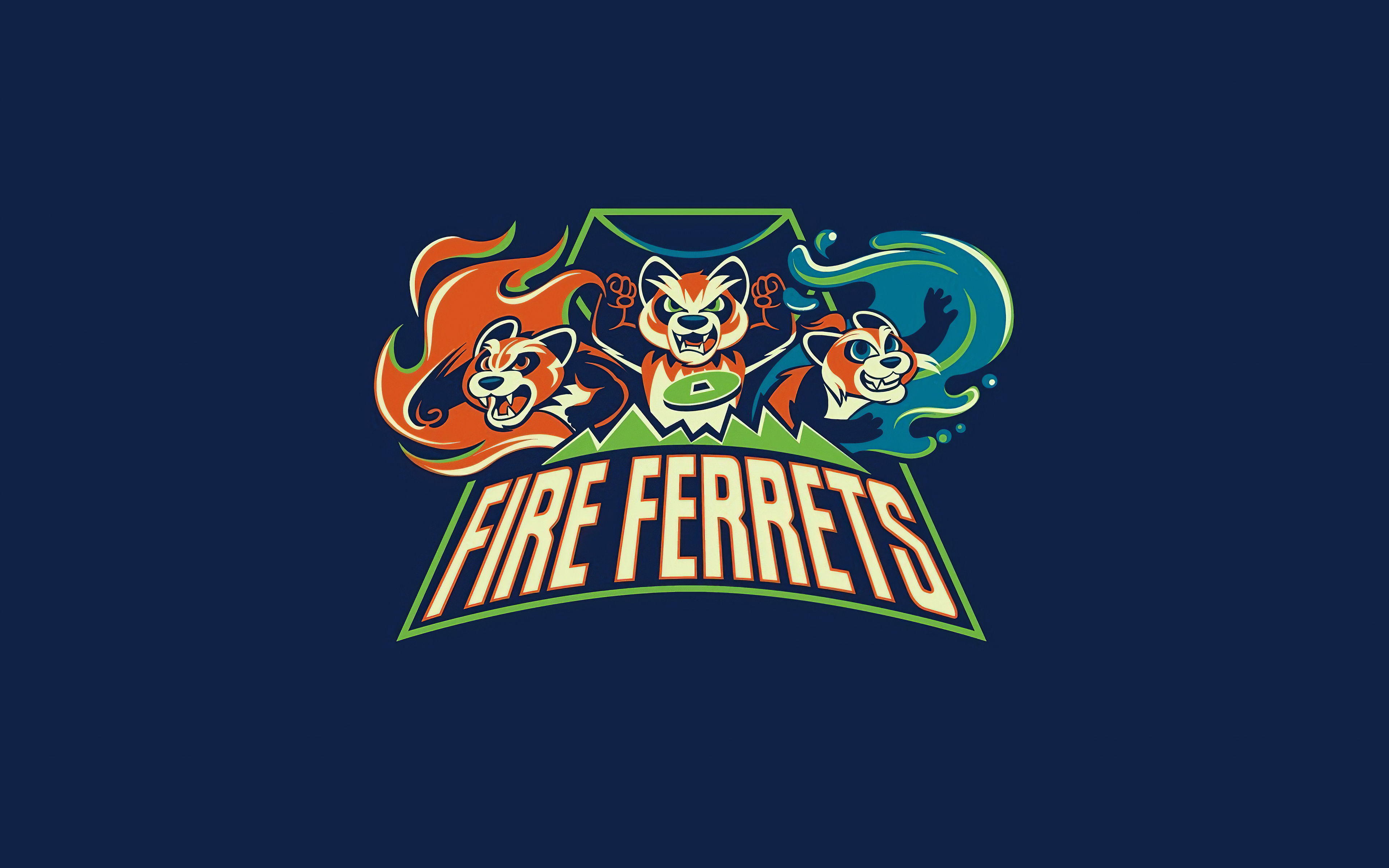 fire ferret 1580055092