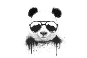 stay cool panda 1578254738