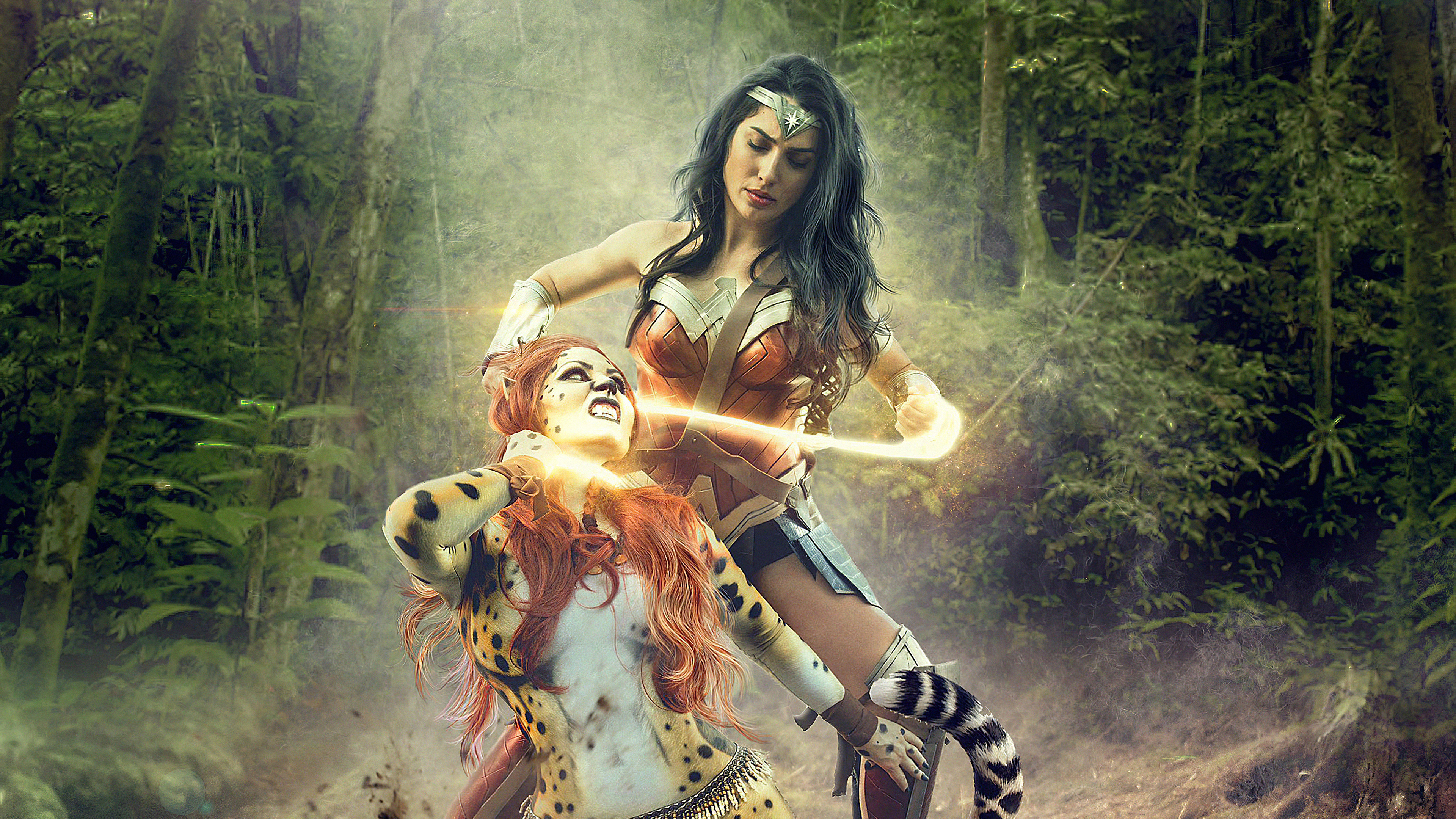 wonder woman vs chetah art 1580586020