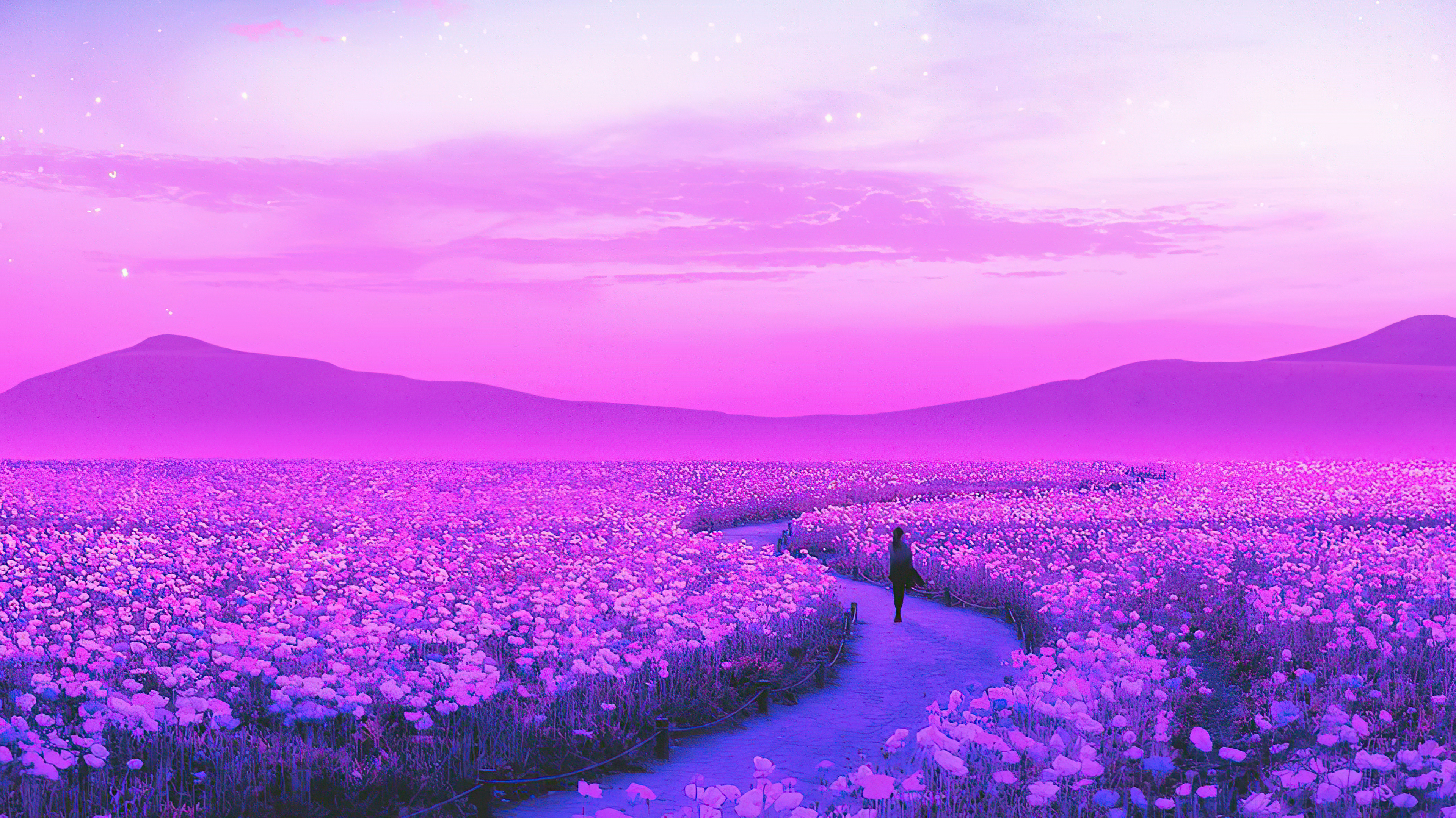 day dreaming lavender field 1596932265