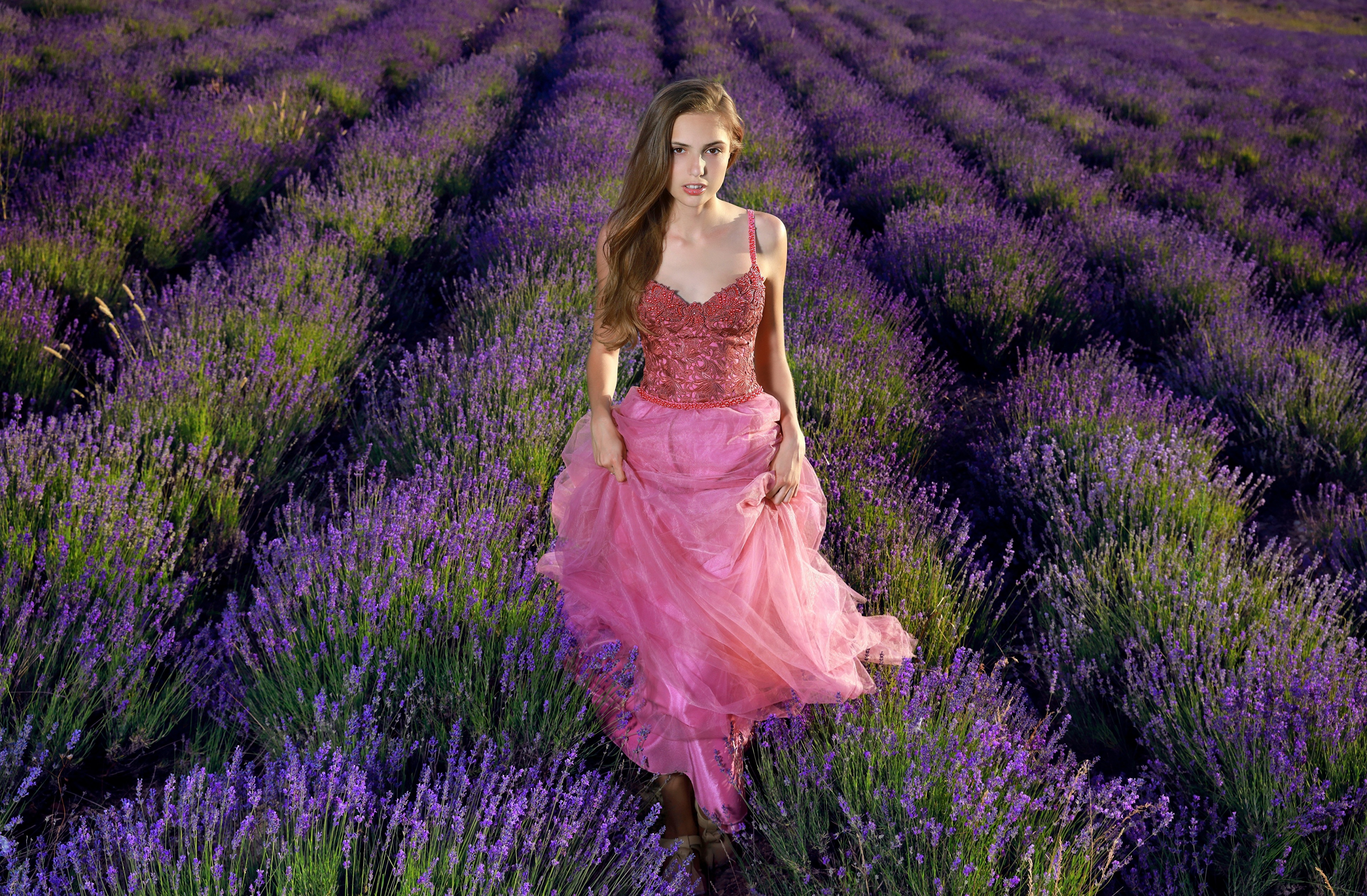 Lavender Field Girl Dress Cute 4k