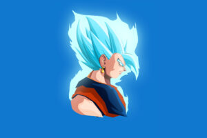 vegetto dragon ball 1596921594