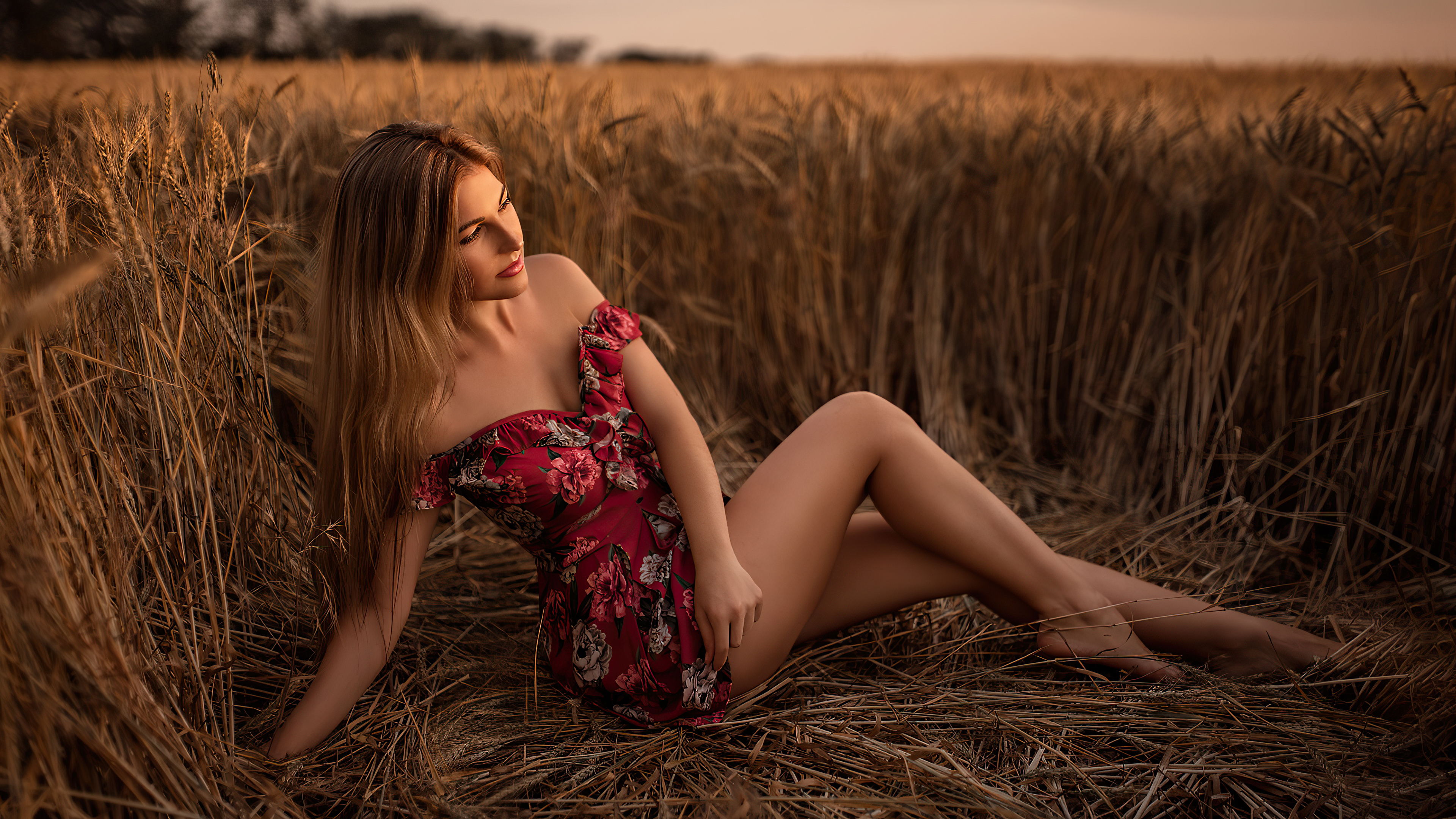 women long hair brunette sitting field 4k 1596916304