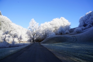 hill frost road trees 4k 1602606182