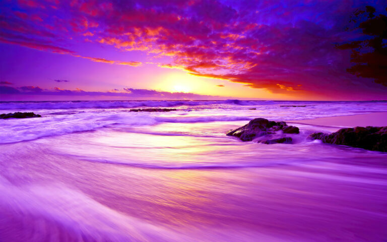 Purple Beach Sunset 4k Wallpaper 4K