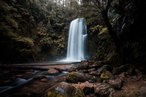 waterfall forest 4k 1602504082