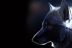 wolf glowing eyes 4k 1603014858