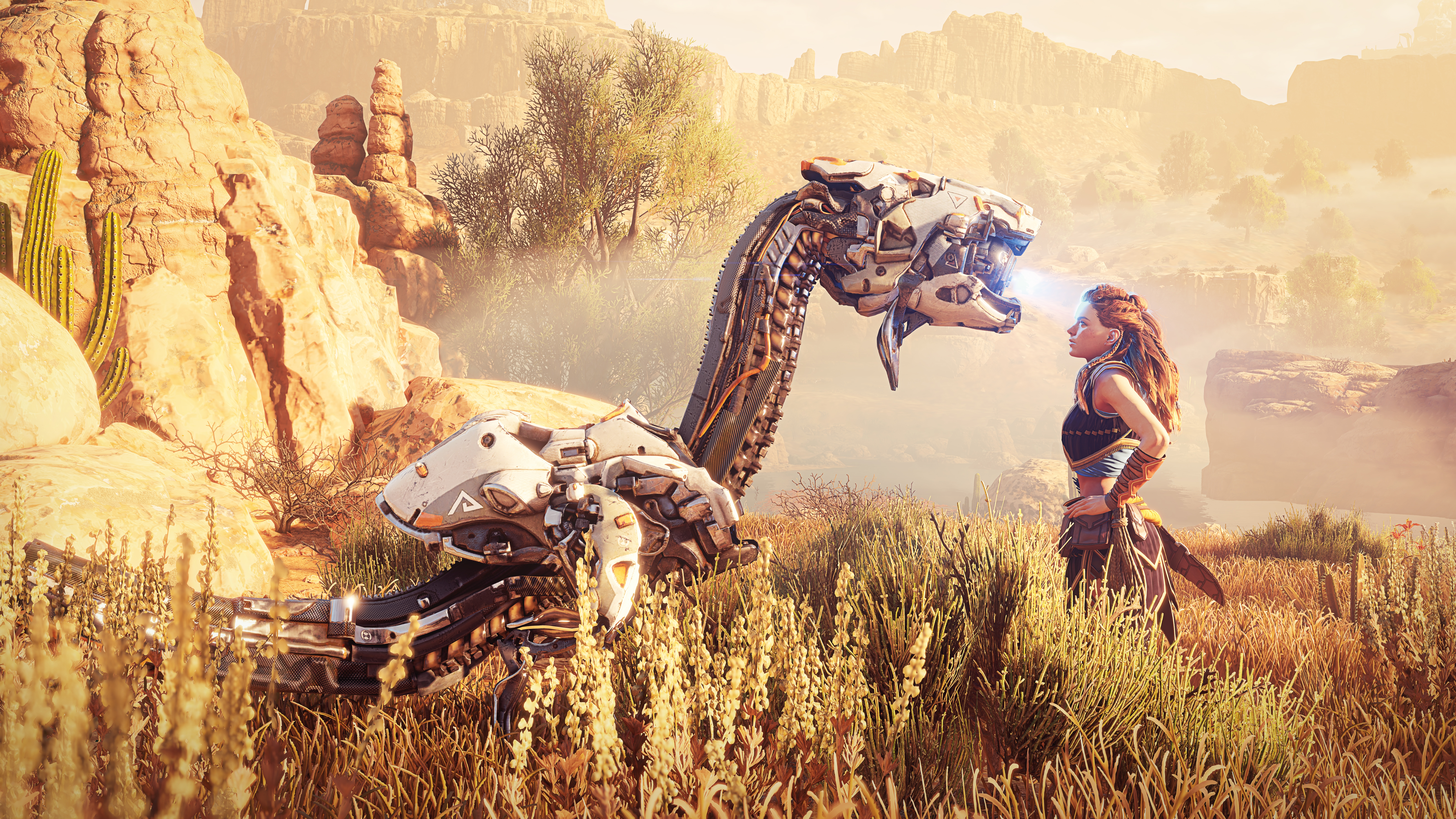 aloy horizon zero dawn 2021 4k 1604867362