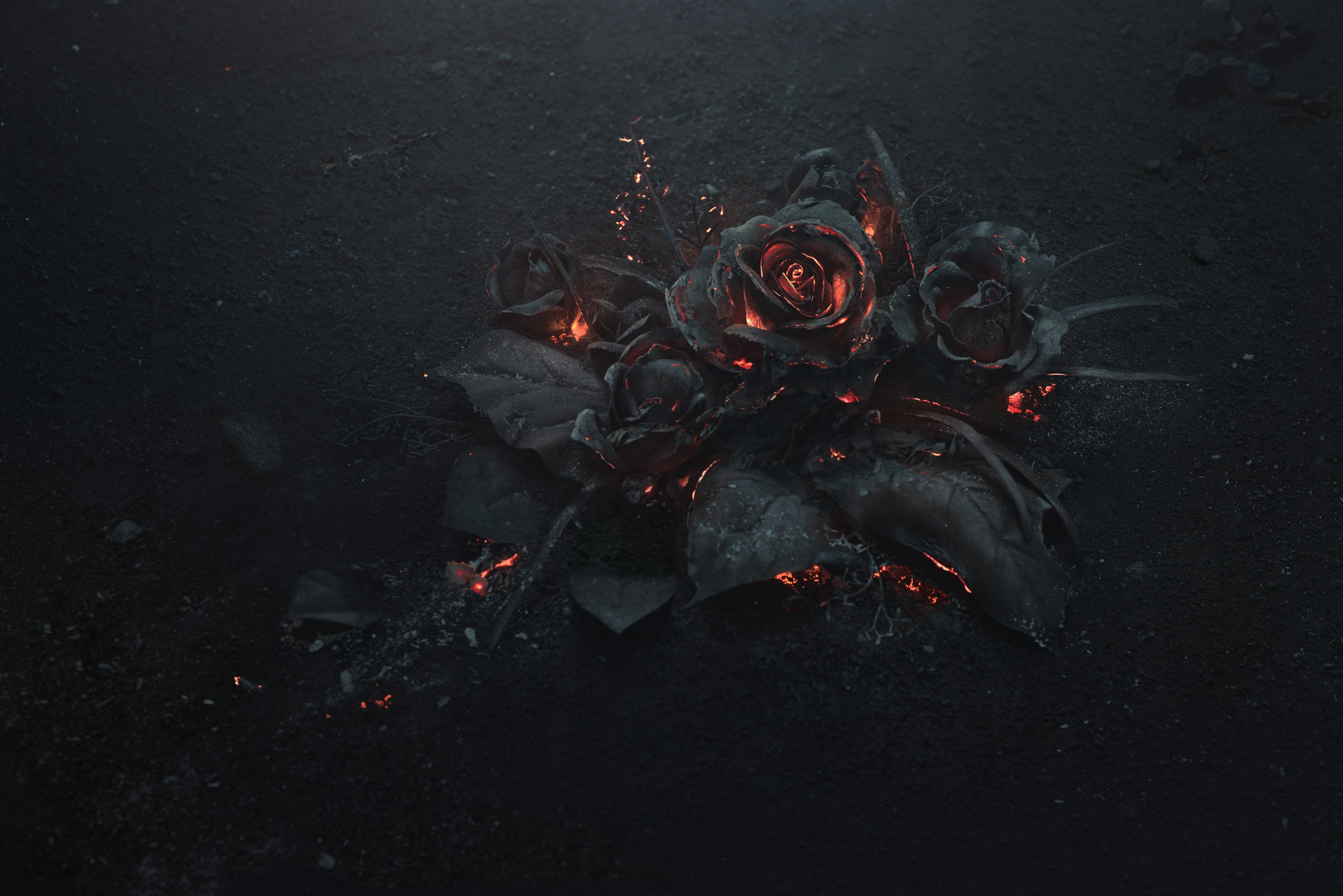 burning roses 4k 1606512510