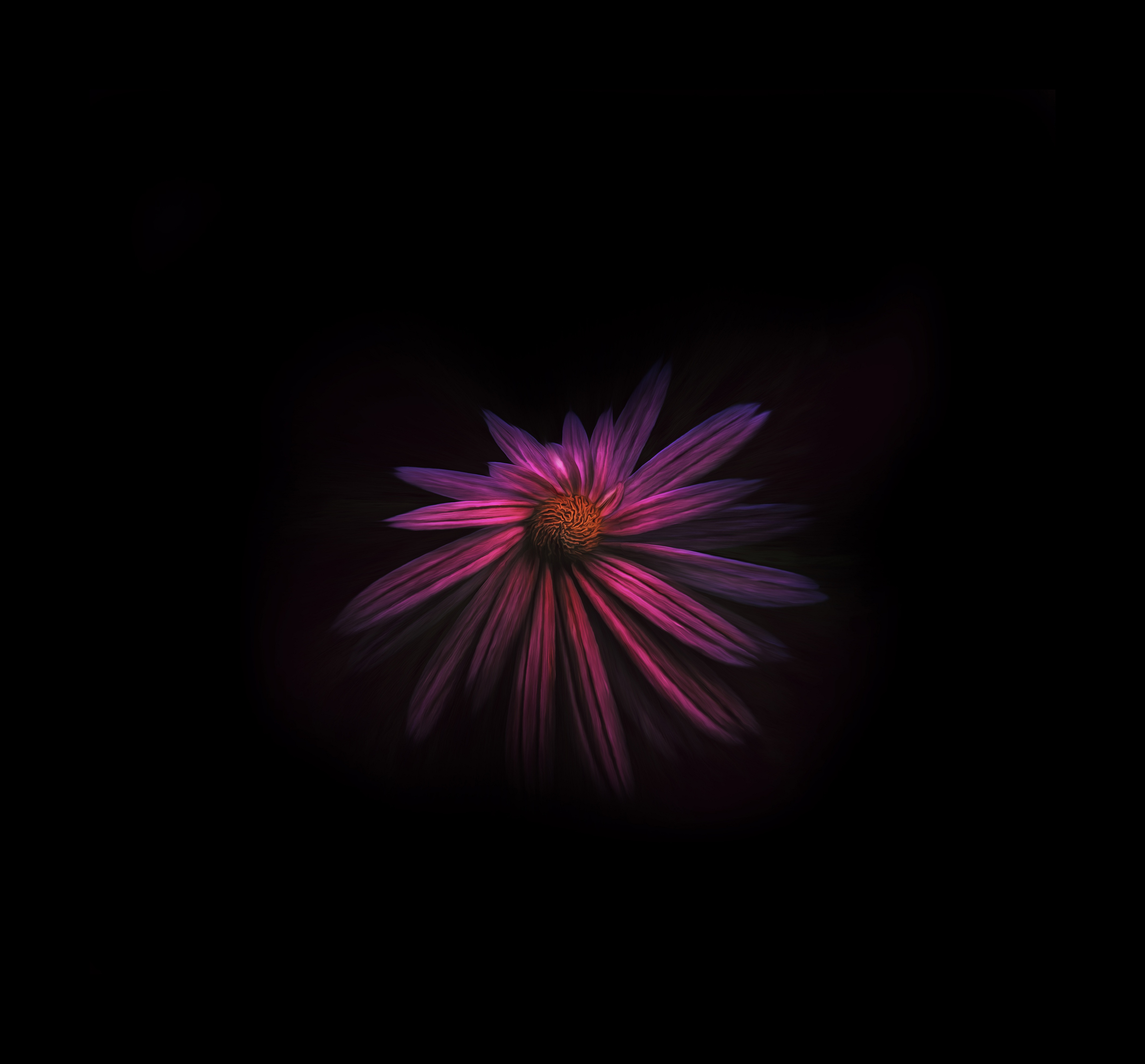 flower dark background 4k 1606510414