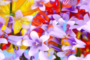 flowers art abstraction 4k 1606508468