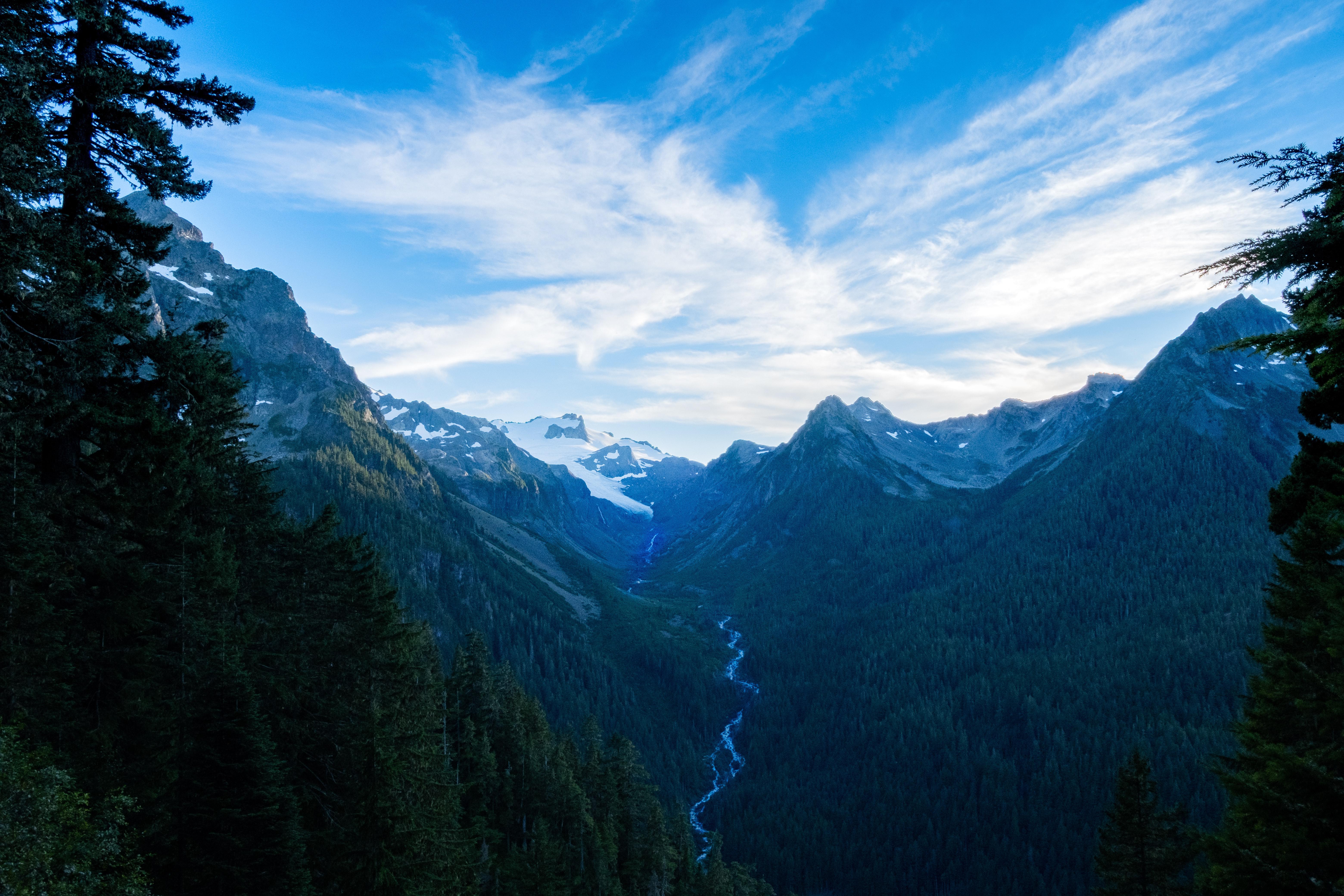 hoh river in washington state 4k 1606595725