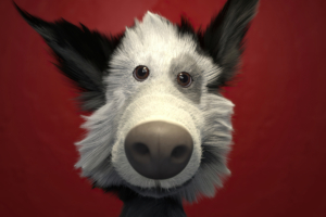 dog 3d 4k 1608623972