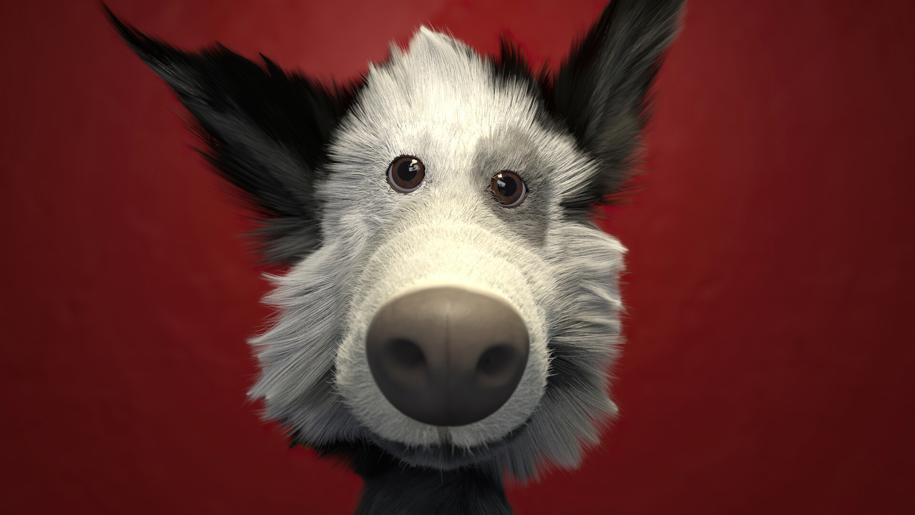 dog 3d 4k 1608623972