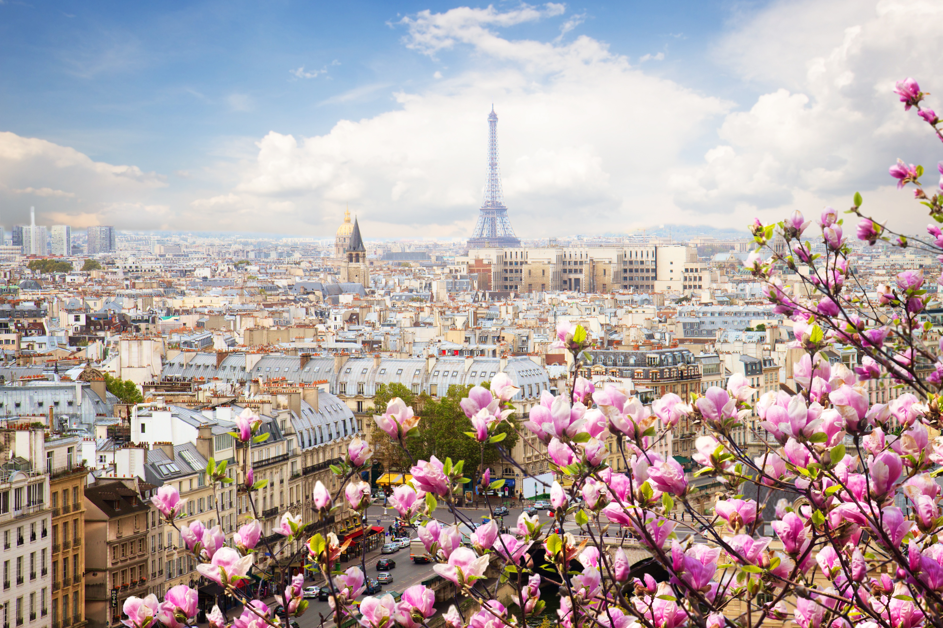 eiffel tower france flowers beautiful 4k 1608983171