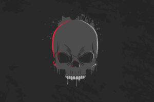 skull dark minimalism 4k 1608658977