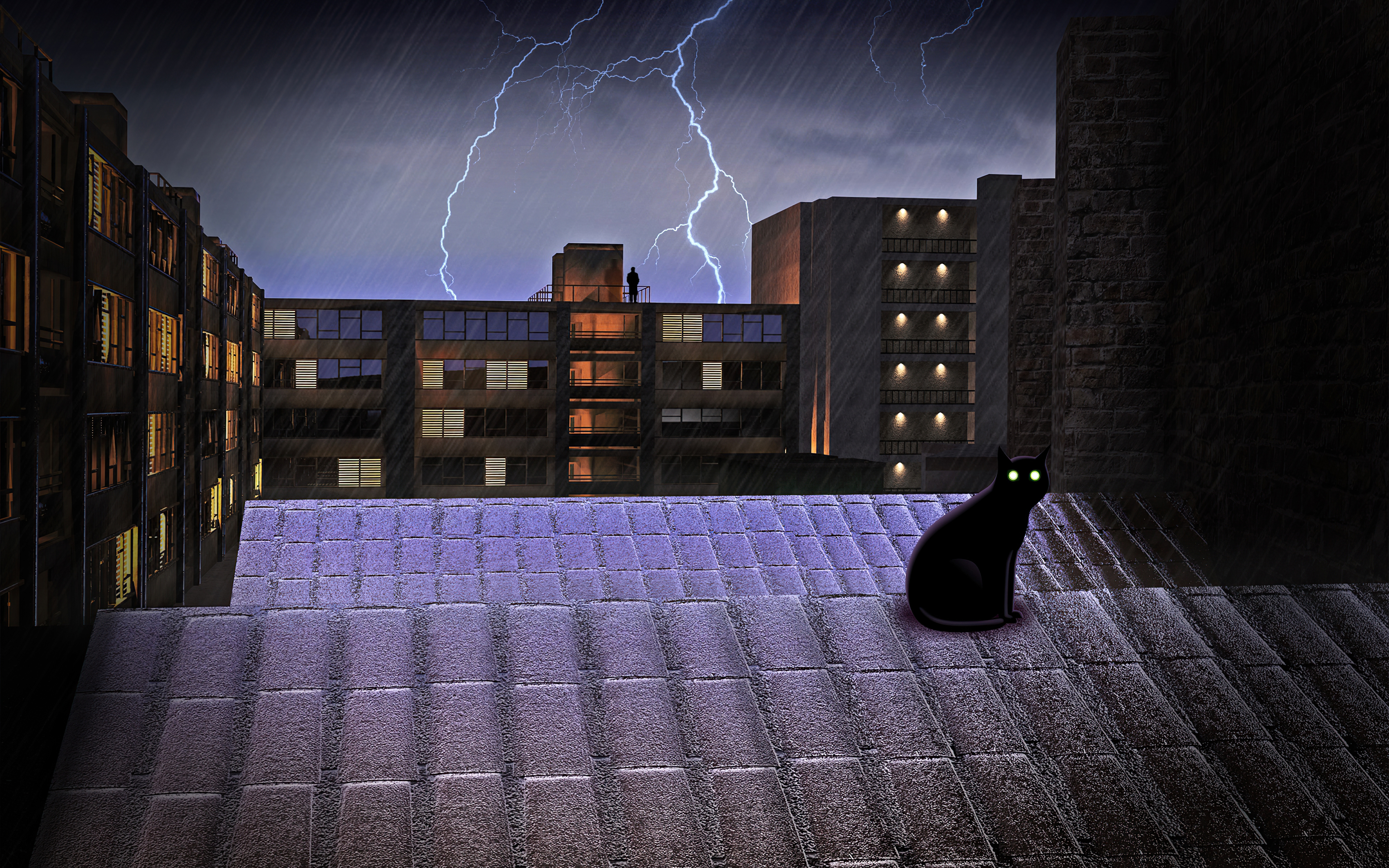 black cat on rooftop lightning 4k 1614617397