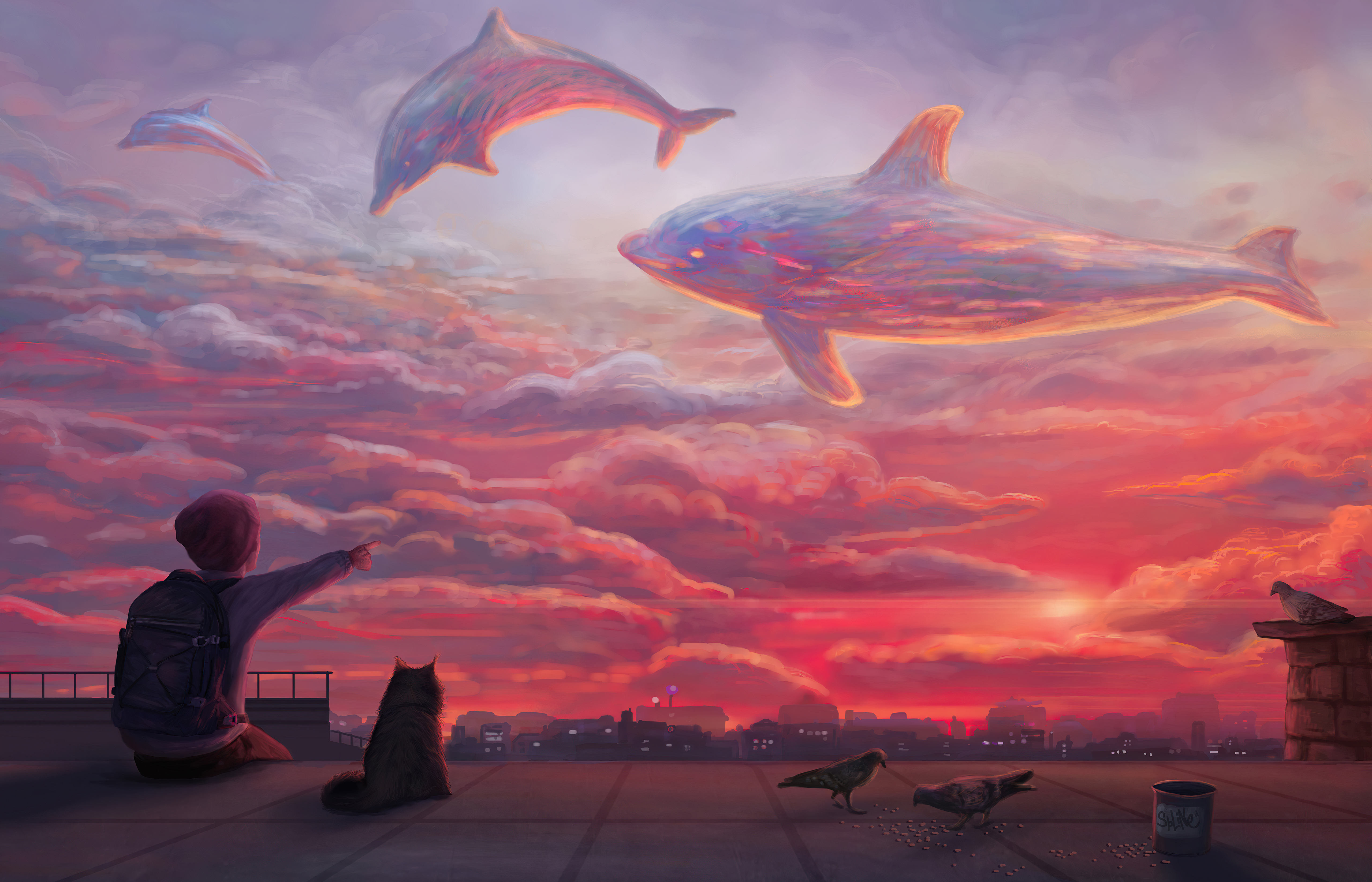 dolphins sky clouds 4k 1614622554