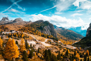 italy autumn forest 4k 1615197512