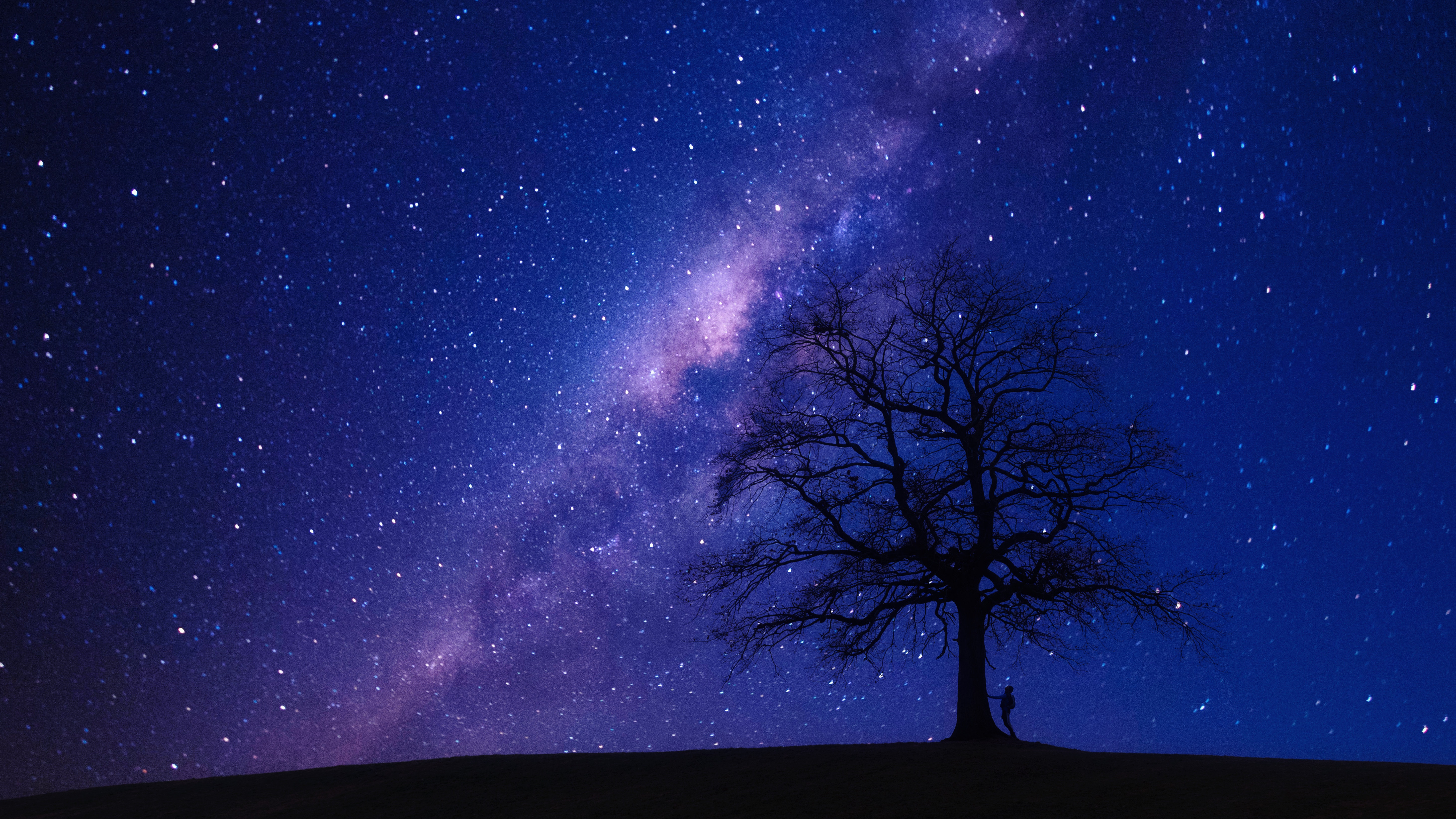 person beside bare tree 4k 1616091943