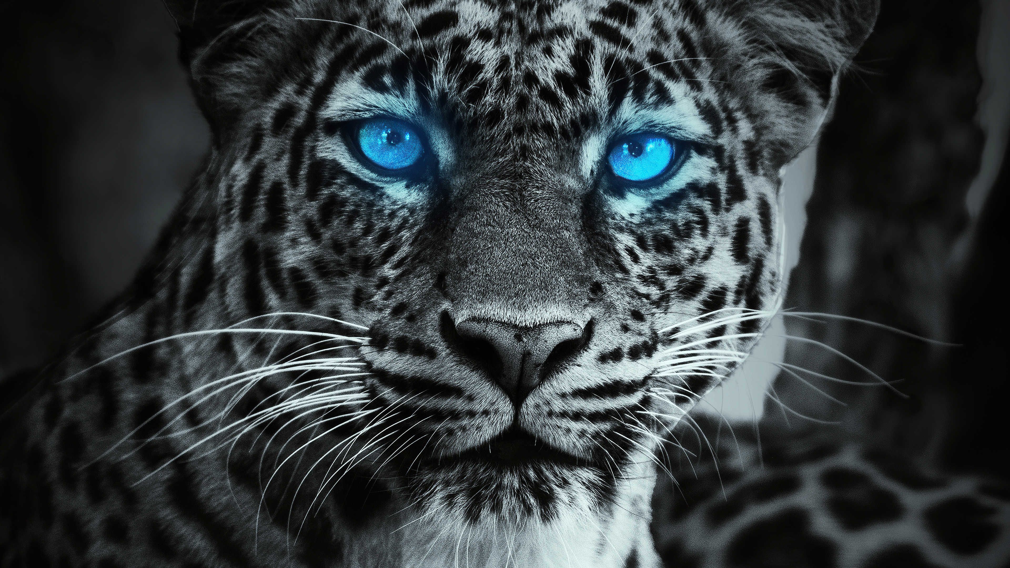 tiger glowing blue eyes 4k 1615884666