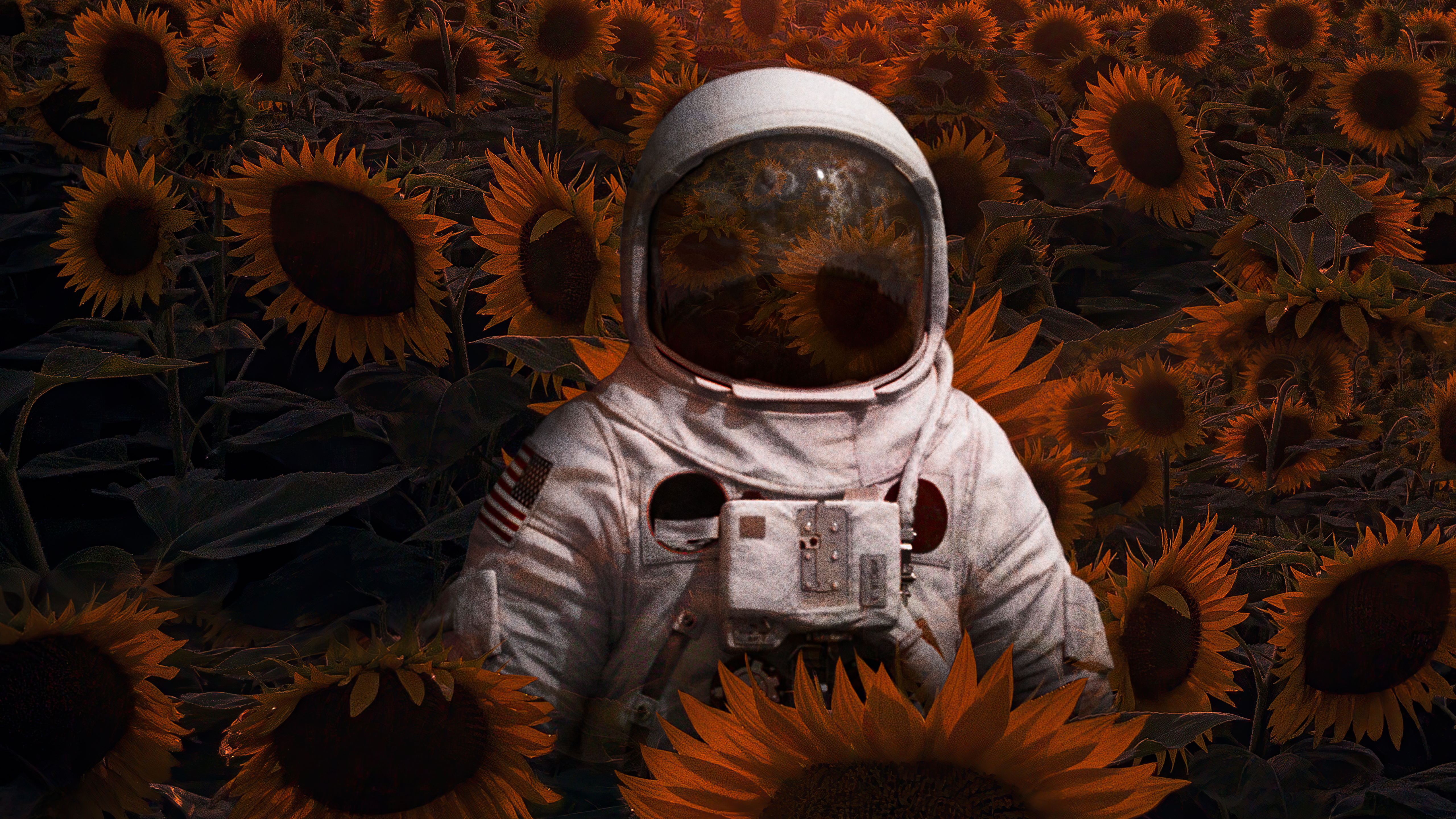 astronaut in sunflowers field 4k 1618126622