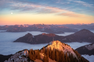 brown green trees on mountains 4k 1630068829