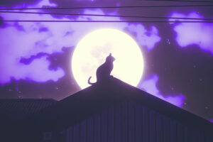 cat rooftop silhouette 4k 1629137132