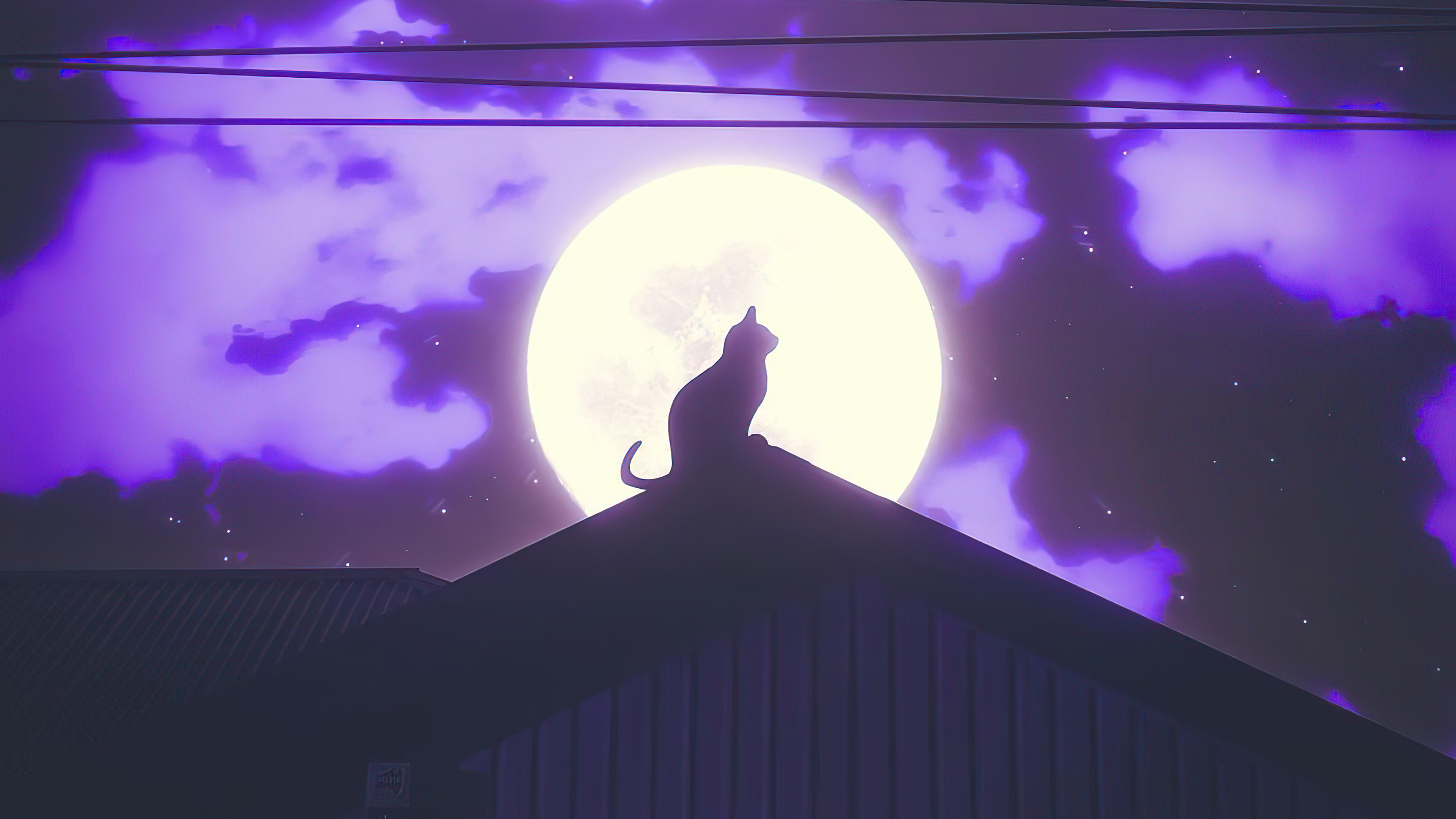 cat rooftop silhouette 4k 1629137132