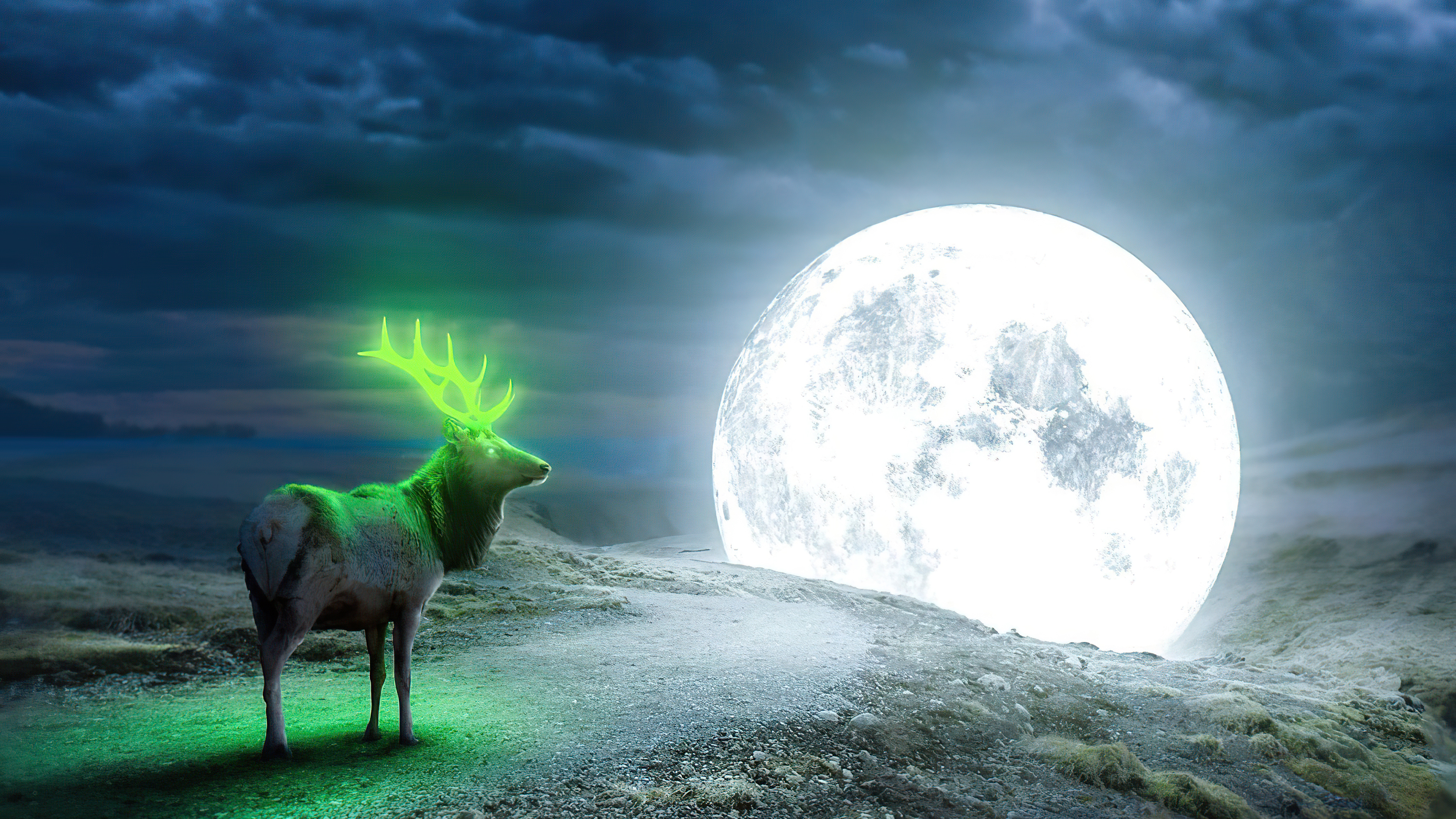 reindeer magical moon 4k 1630532621