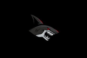 shark dark 5k 1630606910