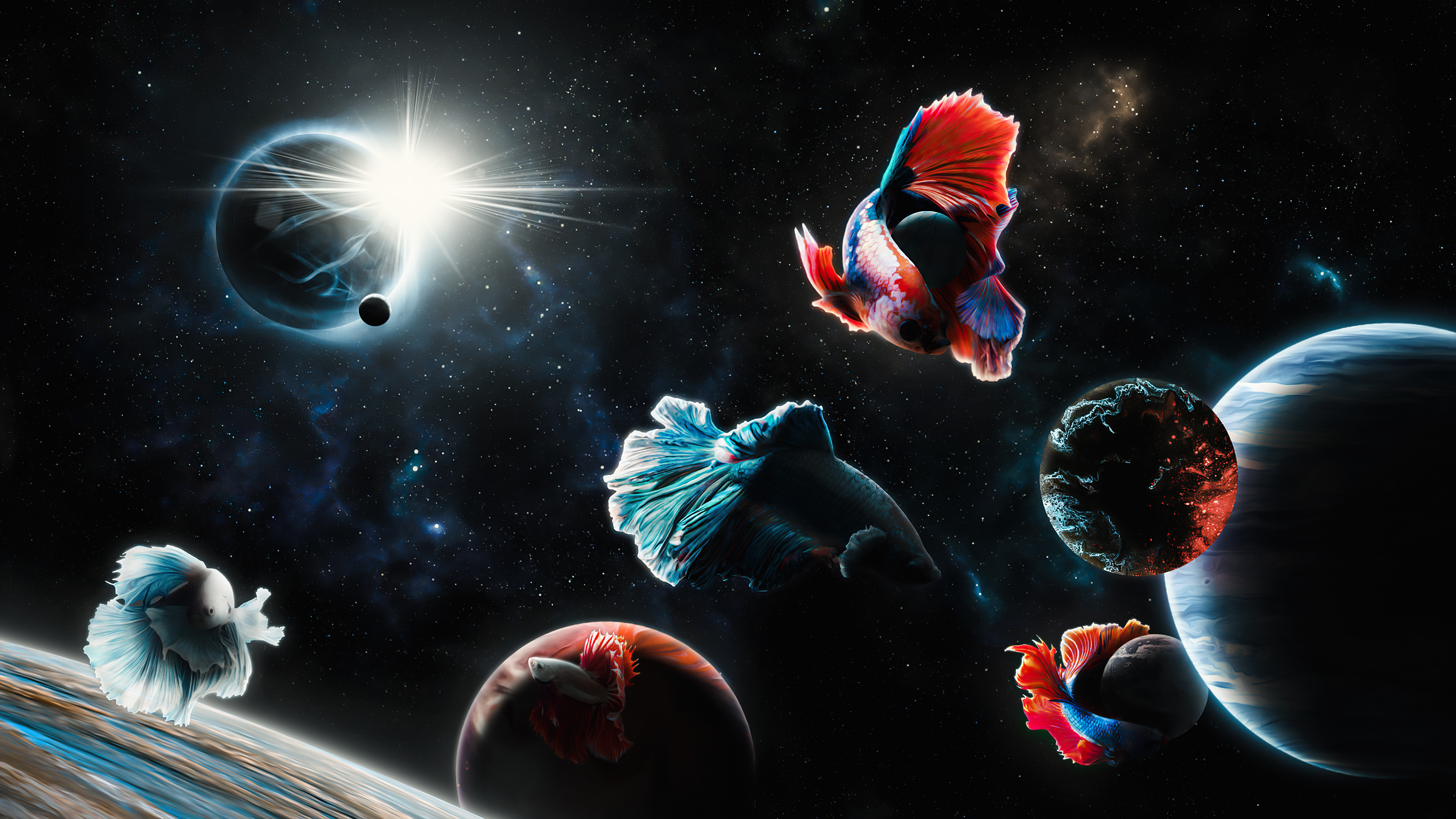 space fish 4k 1641808998