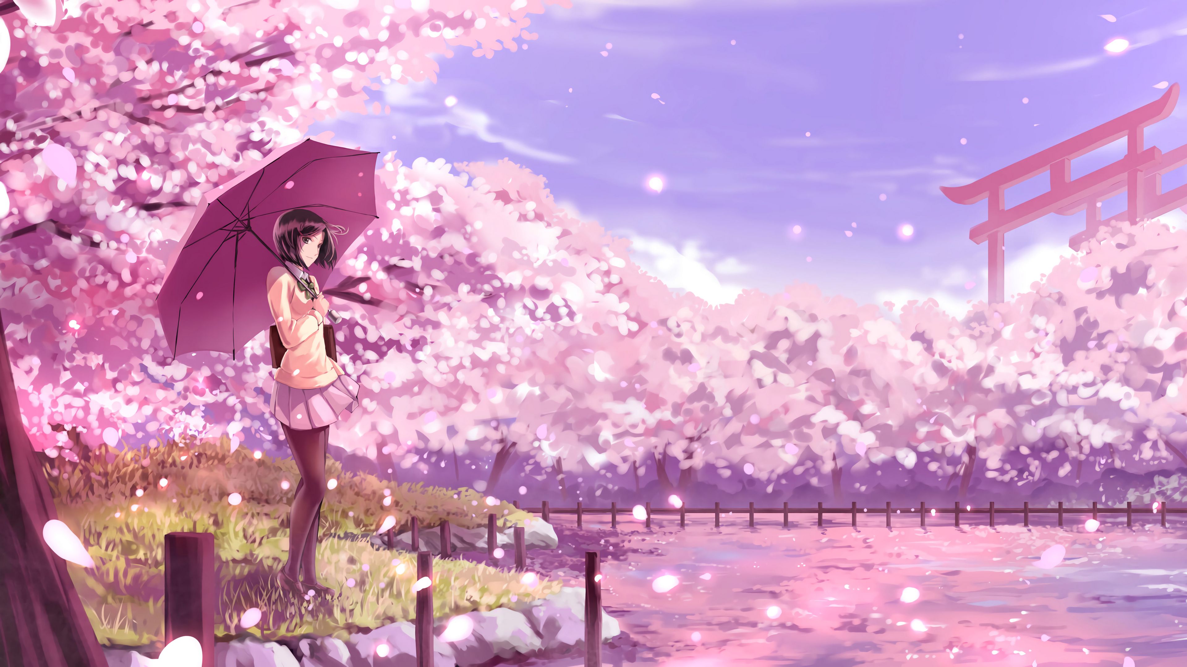Download Simple Pink Sakura Anime Flowers Wallpaper  Wallpaperscom