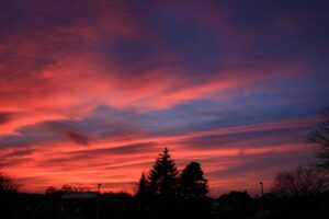 dark sky clouds trees 4k 1692181428