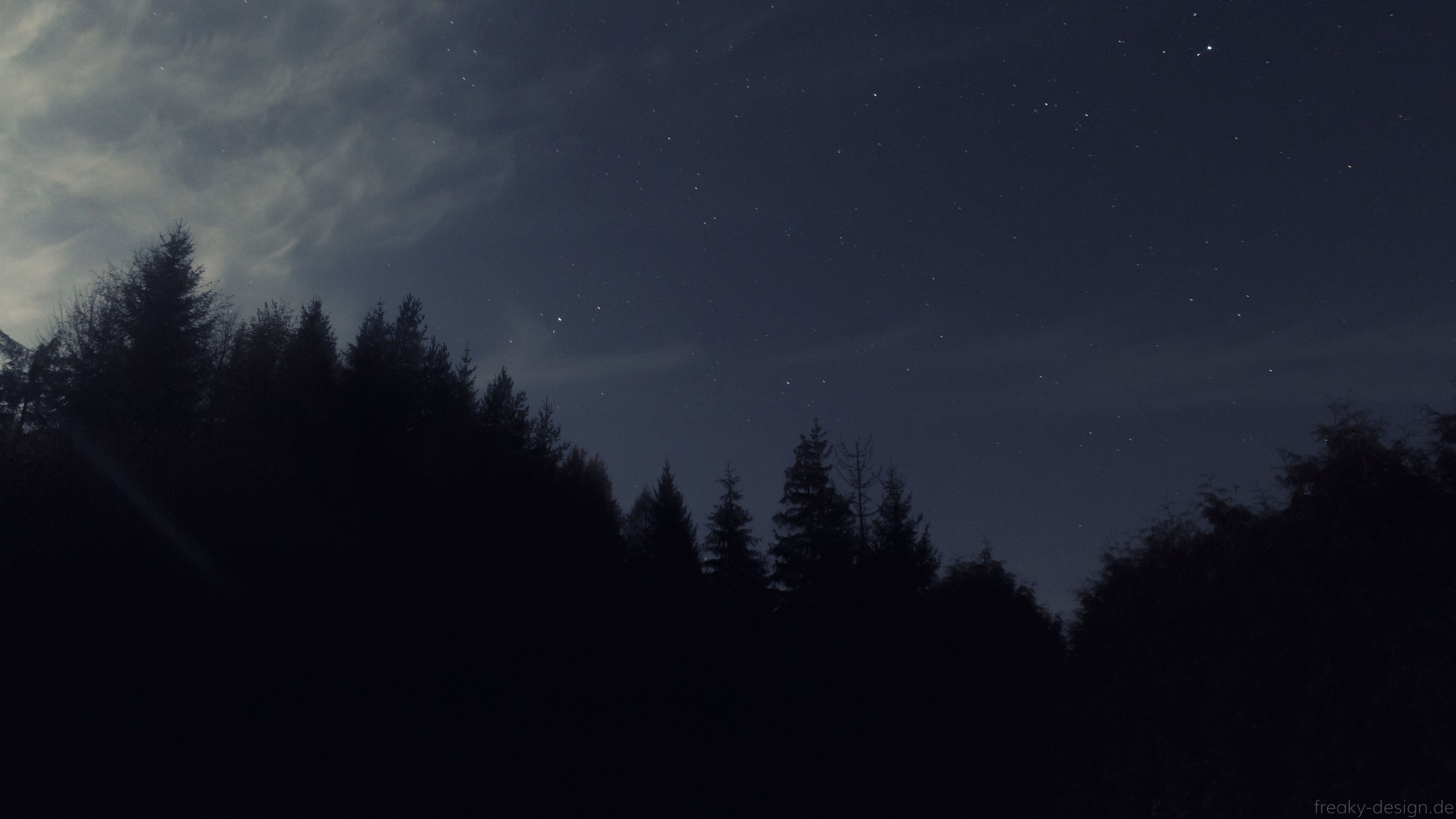 night sky trees darkness 4k 1692100646