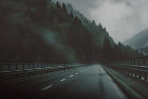 road forest dark 4k 1692181086