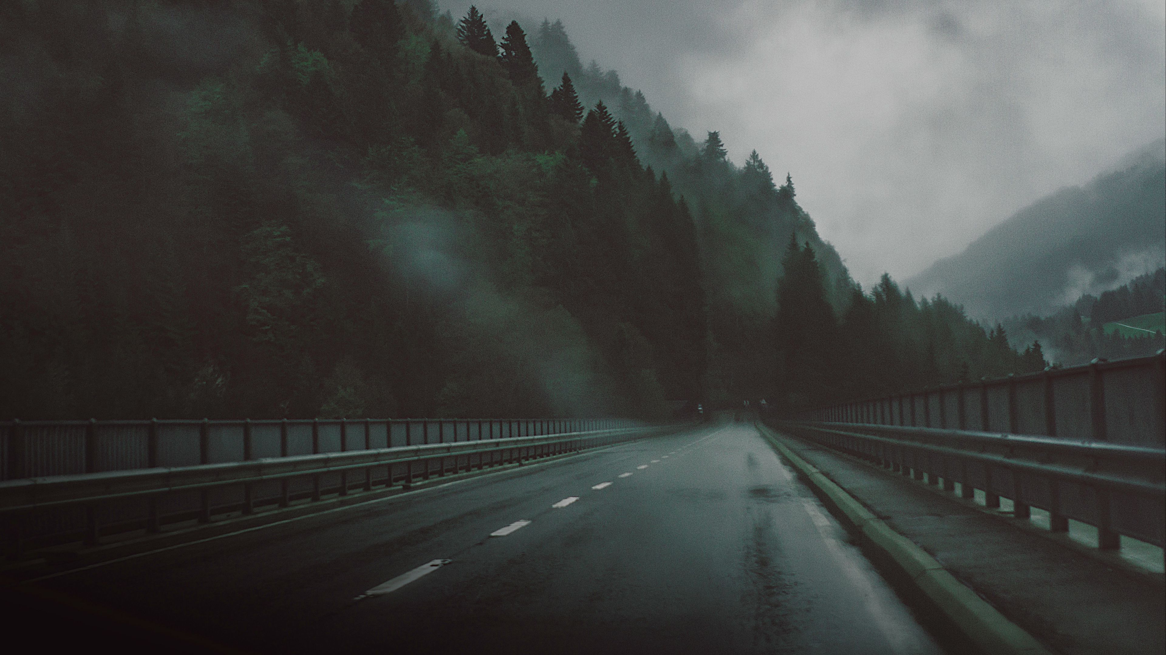 road forest dark 4k 1692181086