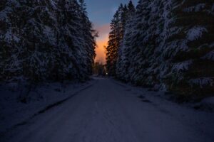 road trees snow winter dusk dark 4k 1692006754