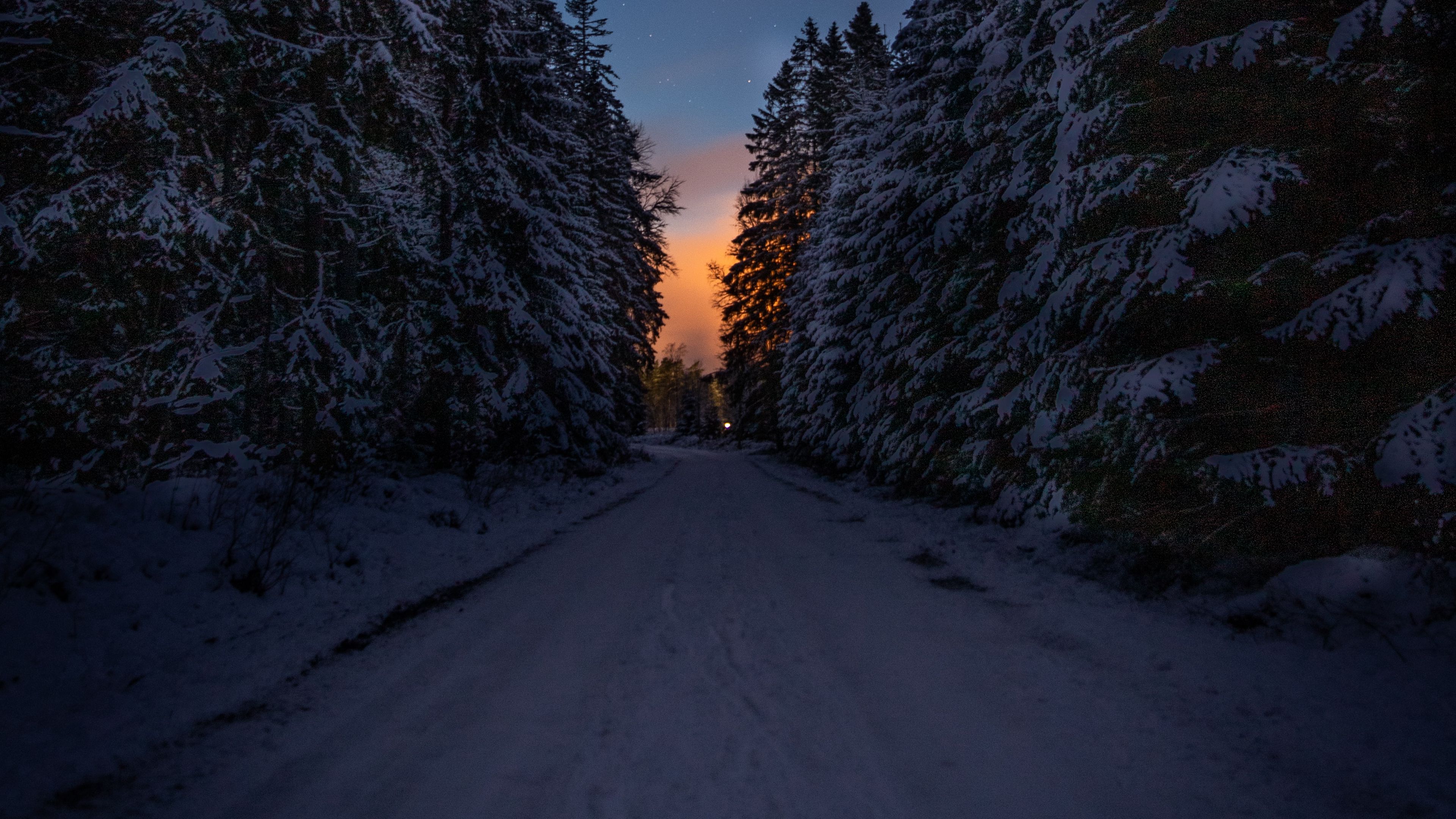 road trees snow winter dusk dark 4k 1692006754