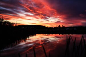 silhouettes sunset dark 4k 1692100034