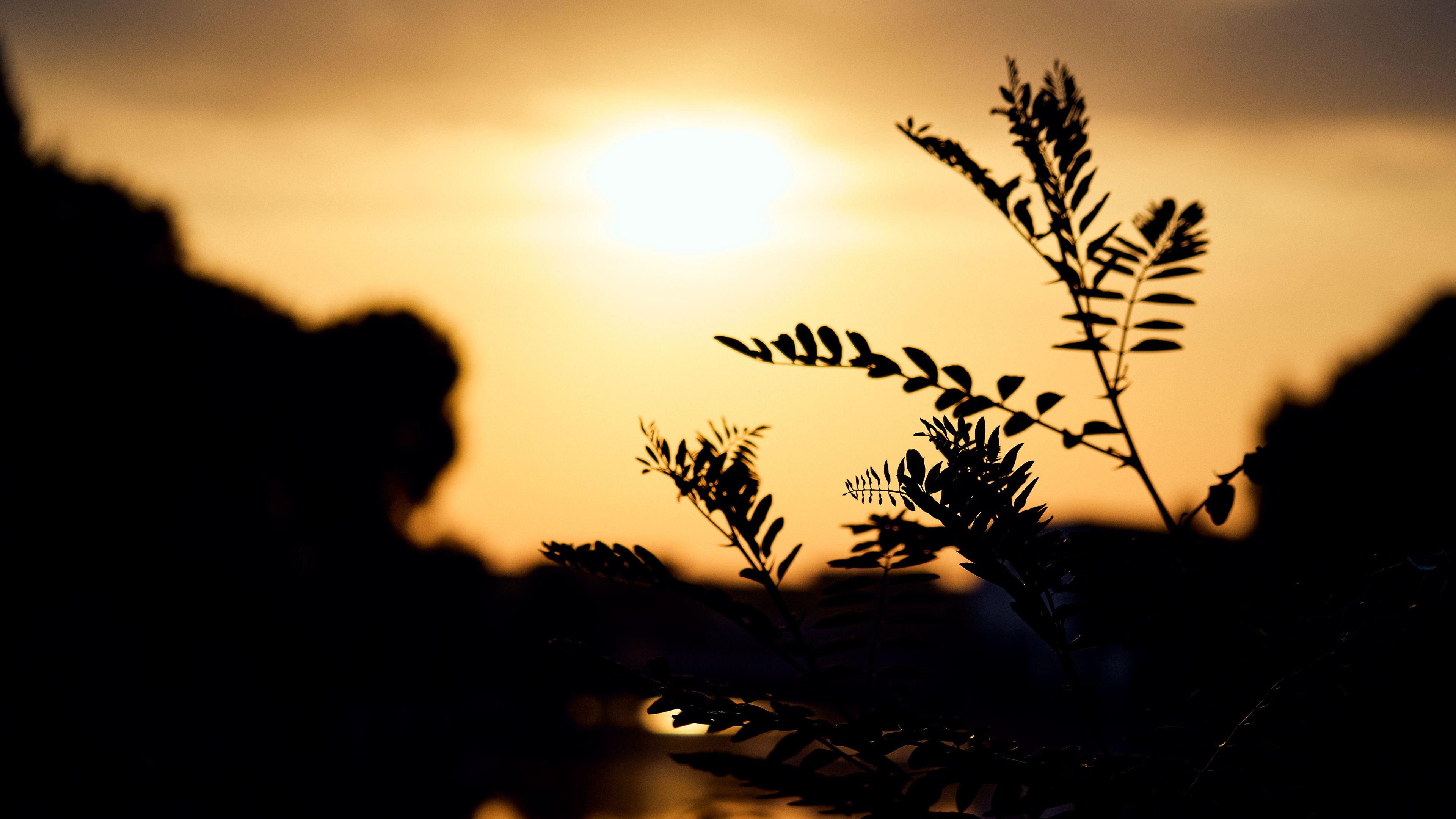 silhouettes twilight dark 4k 1692181086