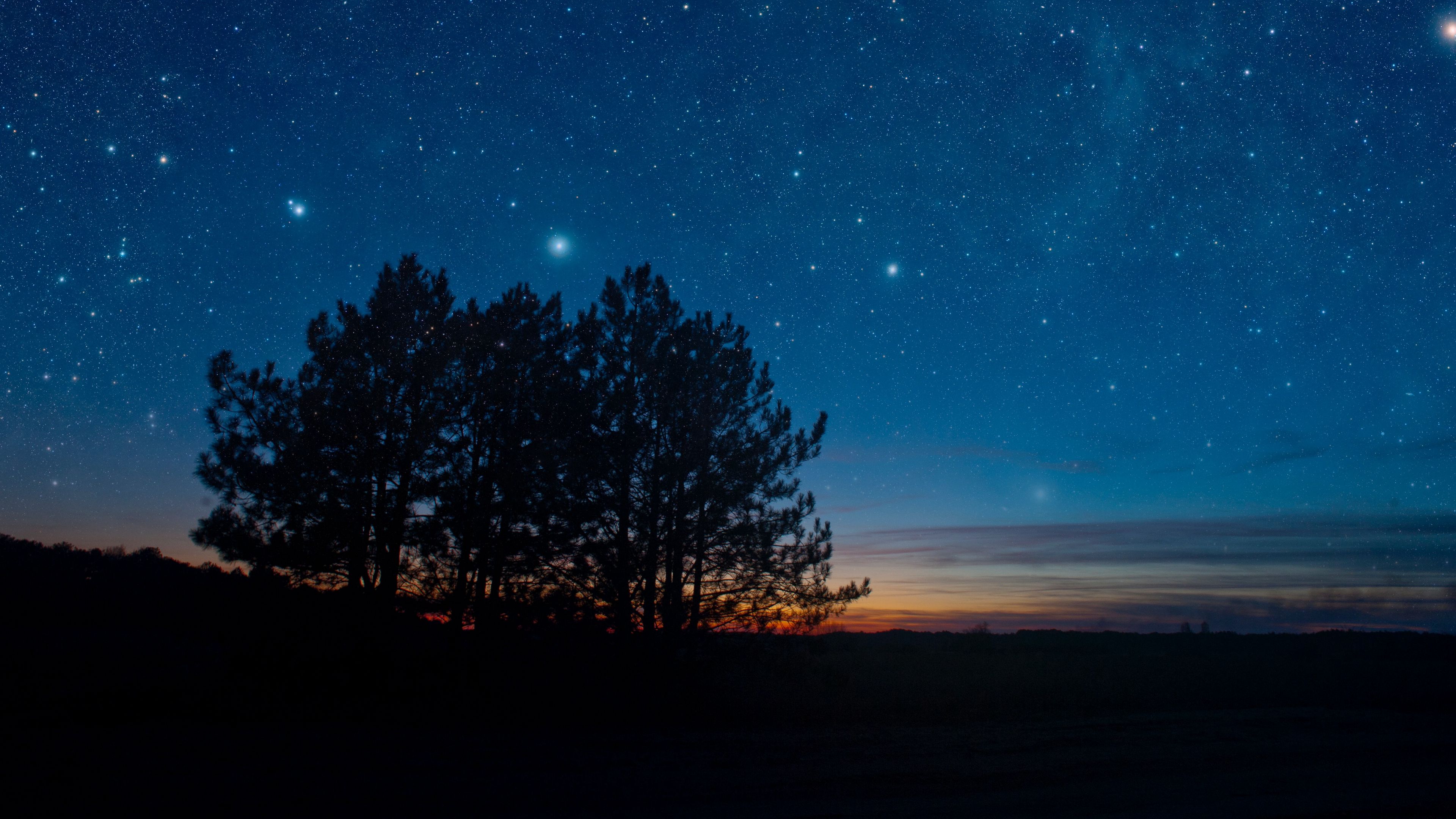 starry sky night trees stars landscape 4k 1691849538