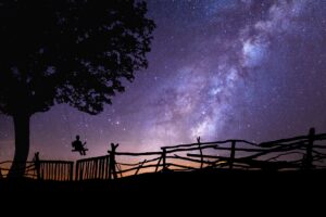 starry sky silhouette swing tree night 4k 1691839434