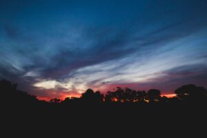 sunset trees sky clouds horizon 4k 1691849539