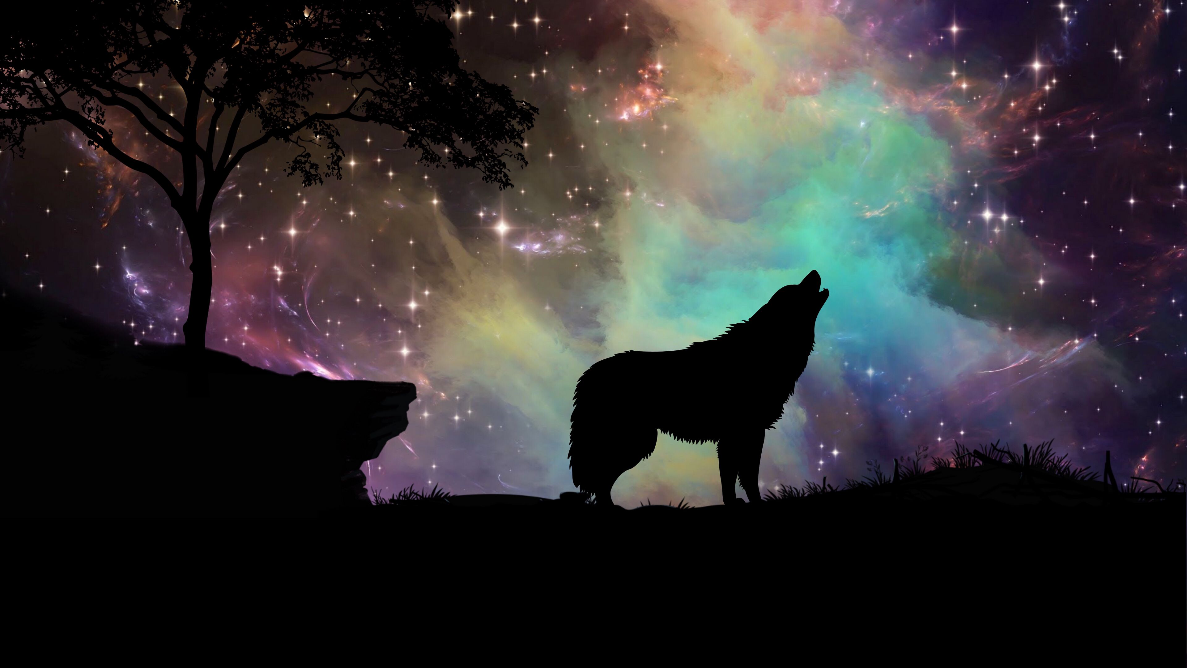 wolf starry sky silhouette art 4k 1691839434