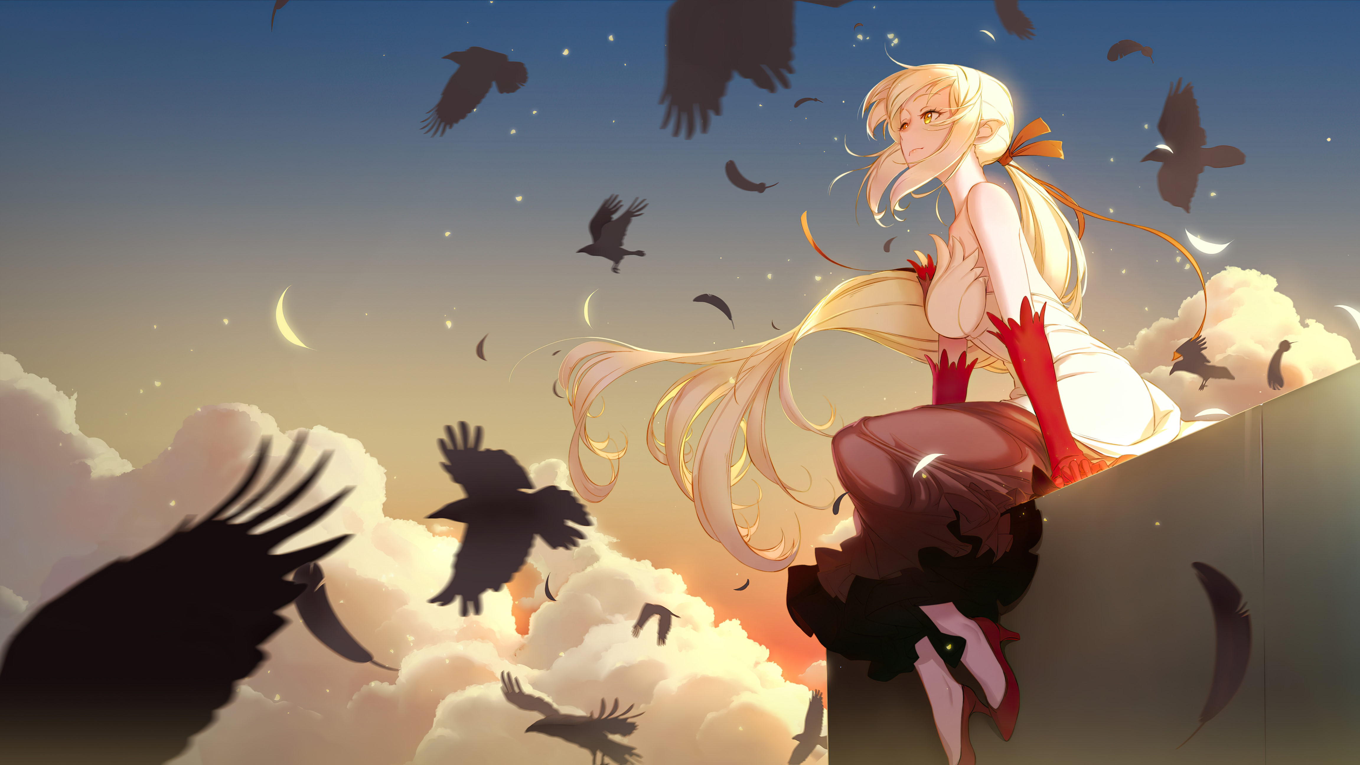 monogatari series anime girls oshino shinobu 1696413293