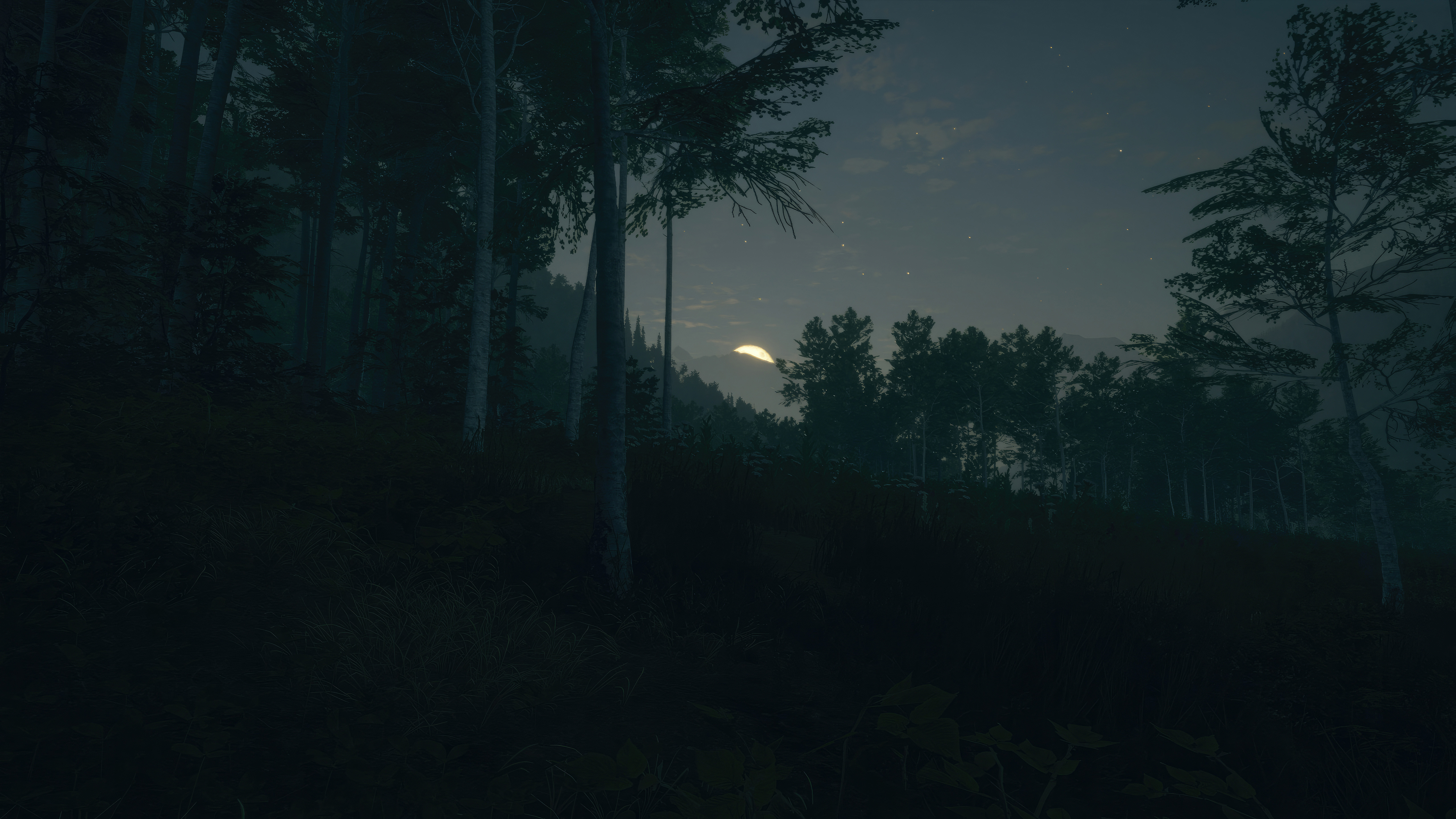 thehunter call of the wild 5k 10.jpg