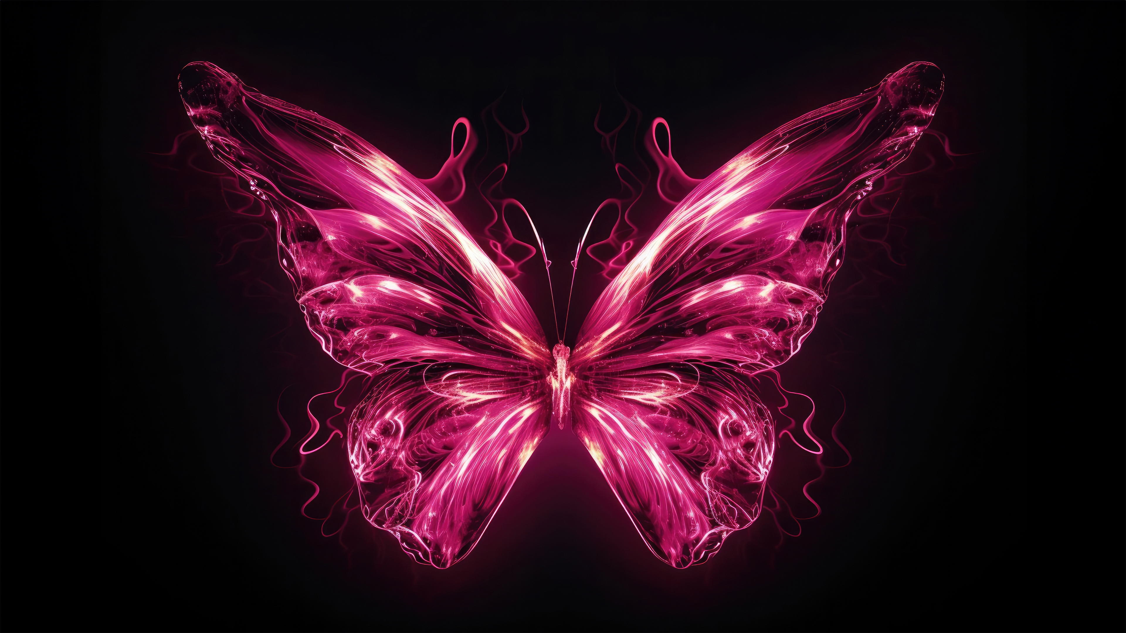 butterfly neon pink 4k zh.jpg